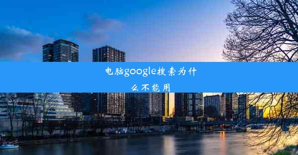 电脑google搜索为什么不能用