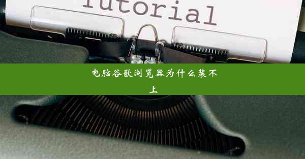 电脑谷歌浏览器为什么装不上