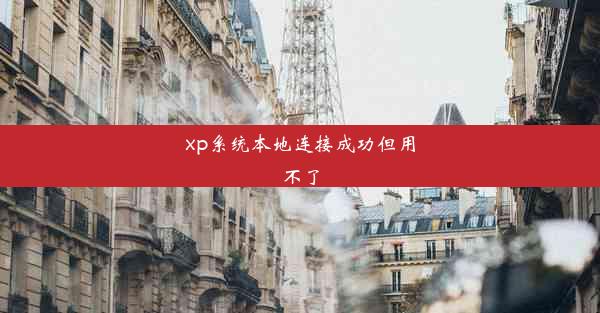 xp系统本地连接成功但用不了