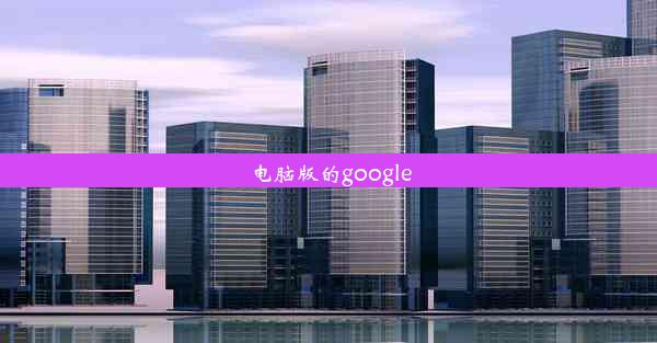 电脑版的google