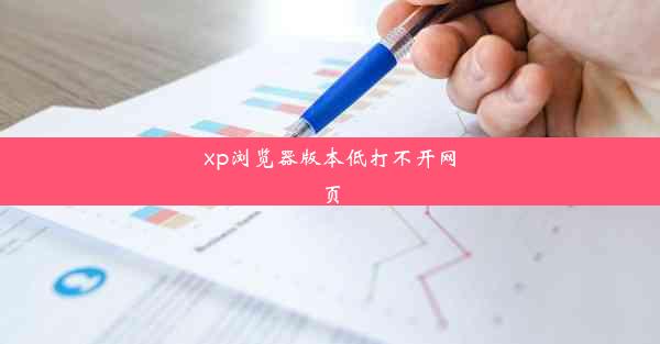 xp浏览器版本低打不开网页