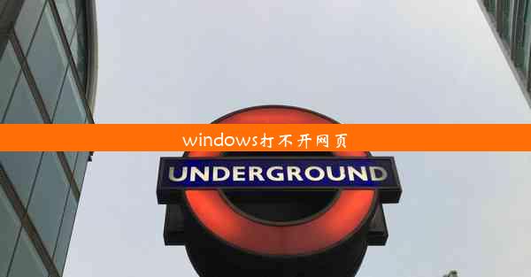 windows打不开网页