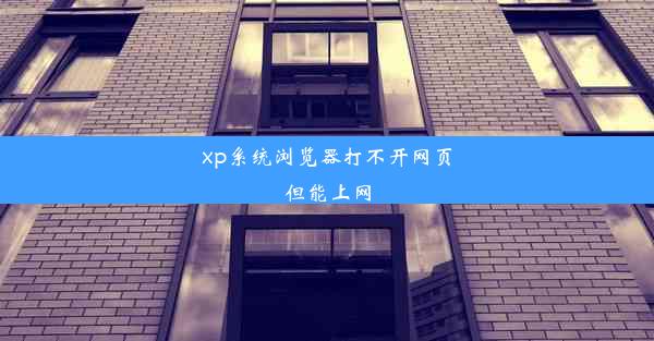 xp系统浏览器打不开网页但能上网