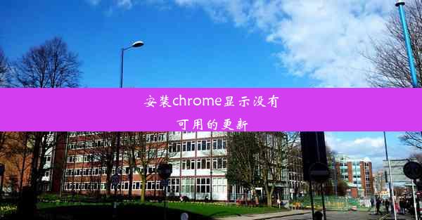 安装chrome显示没有可用的更新