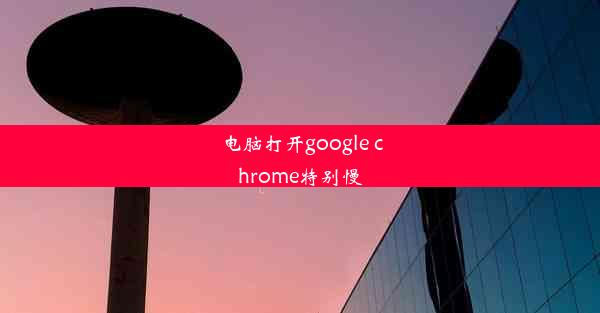 电脑打开google chrome特别慢