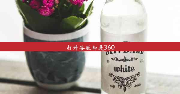 打开谷歌却是360