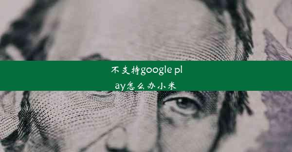 不支持google play怎么办小米