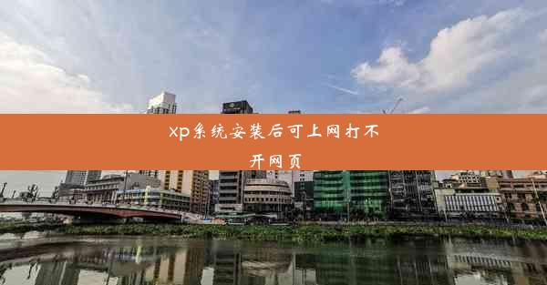 xp系统安装后可上网打不开网页