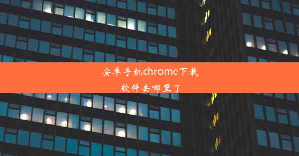 安卓手机chrome下载软件去哪里了