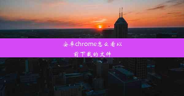 安卓chrome怎么看以前下载的文件