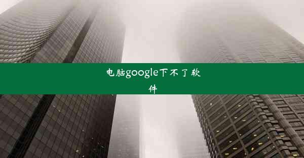 电脑google下不了软件