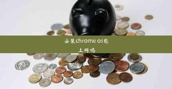 安装chrome os能上网吗