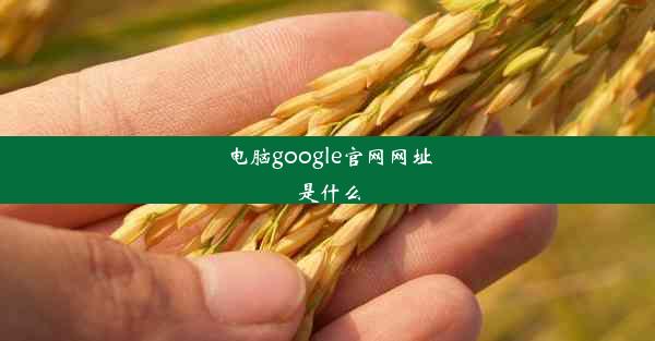 电脑google官网网址是什么