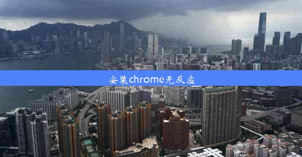 安装chrome无反应