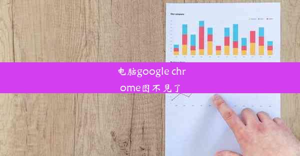 电脑google chrome图不见了