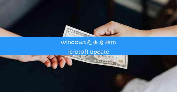 windows无法启动microsoft update