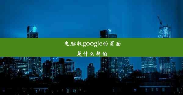 电脑版google的页面是什么样的