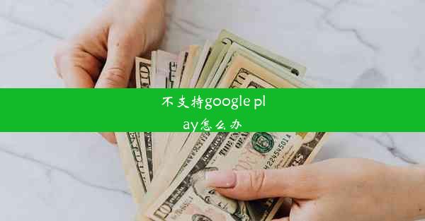 不支持google play怎么办