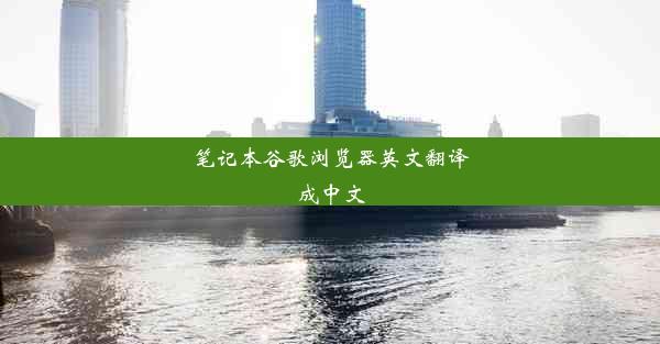 笔记本谷歌浏览器英文翻译成中文