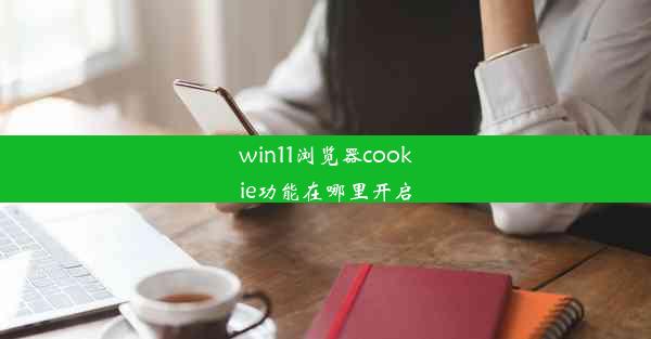 win11浏览器cookie功能在哪里开启