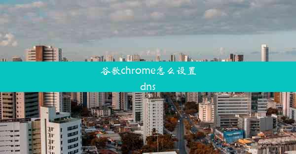 谷歌chrome怎么设置dns