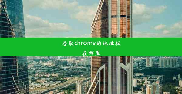 谷歌chrome的地址栏在哪里