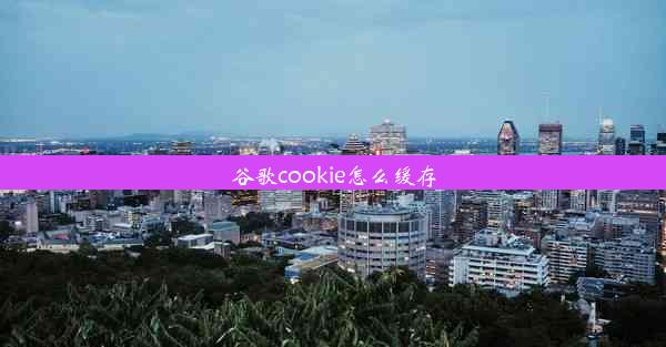 谷歌cookie怎么缓存