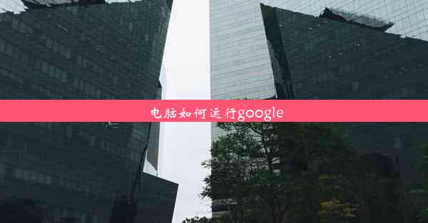 电脑如何运行google