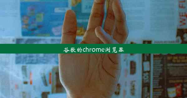 谷歌的chrome浏览器