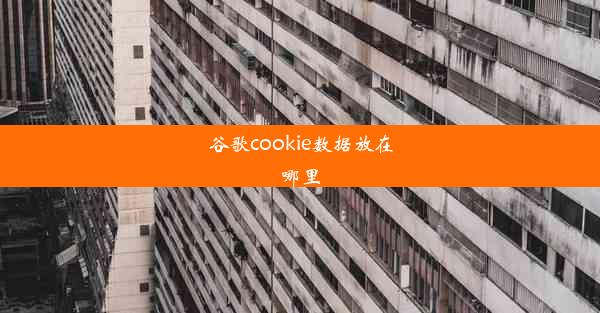 谷歌cookie数据放在哪里