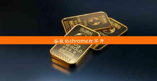 谷歌的chrome打不开