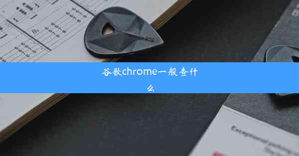 谷歌chrome一般查什么