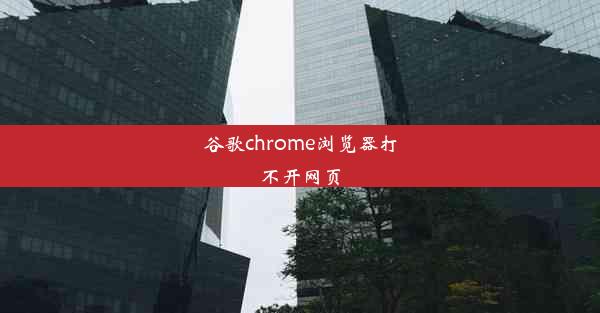 谷歌chrome浏览器打不开网页