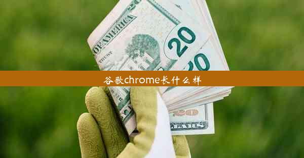 谷歌chrome长什么样