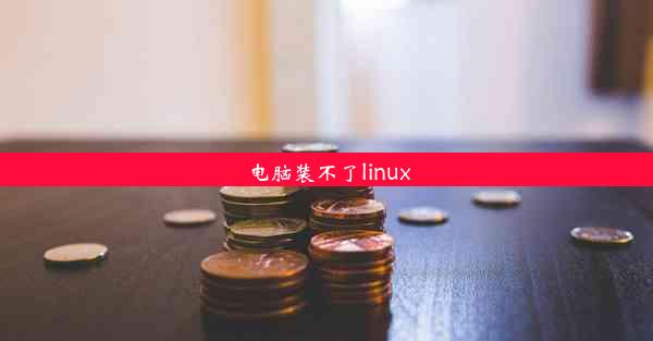 电脑装不了linux