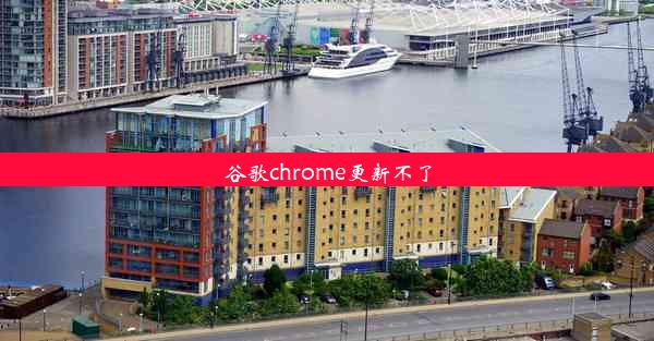 谷歌chrome更新不了