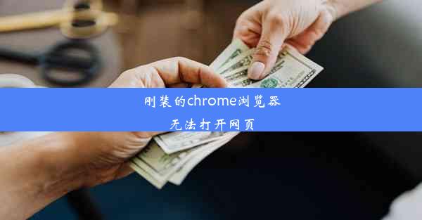 刚装的chrome浏览器无法打开网页