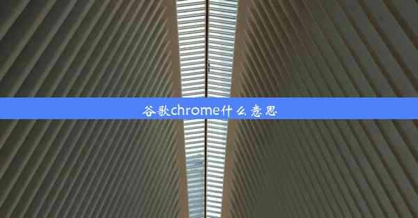 谷歌chrome什么意思