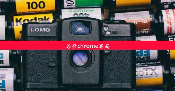 谷歌chrome界面