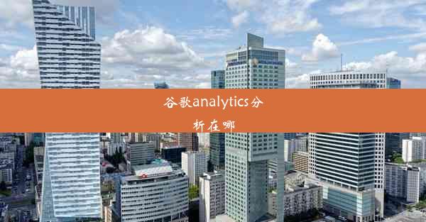 谷歌analytics分析在哪