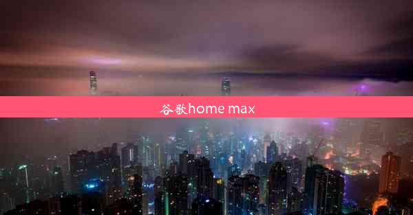 谷歌home max