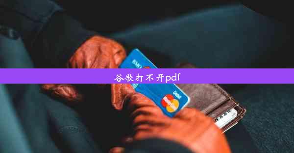 谷歌打不开pdf