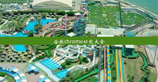 谷歌chrome功能大全