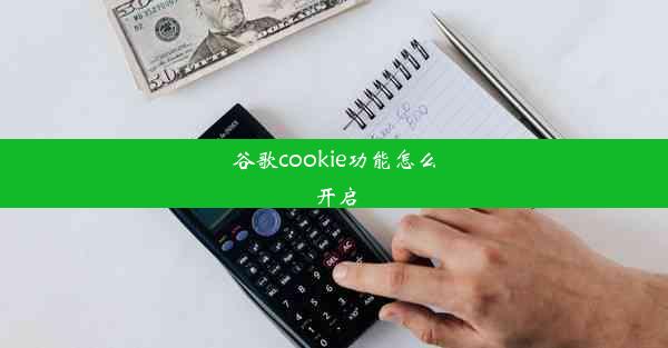 谷歌cookie功能怎么开启