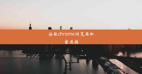 谷歌chrome浏览器私密连接