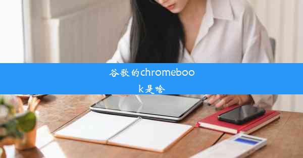 谷歌的chromebook是啥