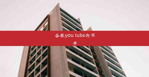 谷歌you tube打不开