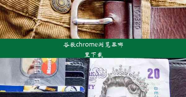 谷歌chrome浏览器哪里下载