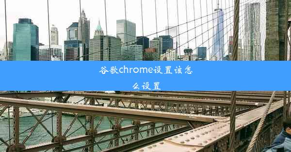 谷歌chrome设置该怎么设置