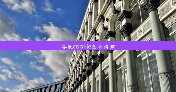 谷歌cookie怎么清理